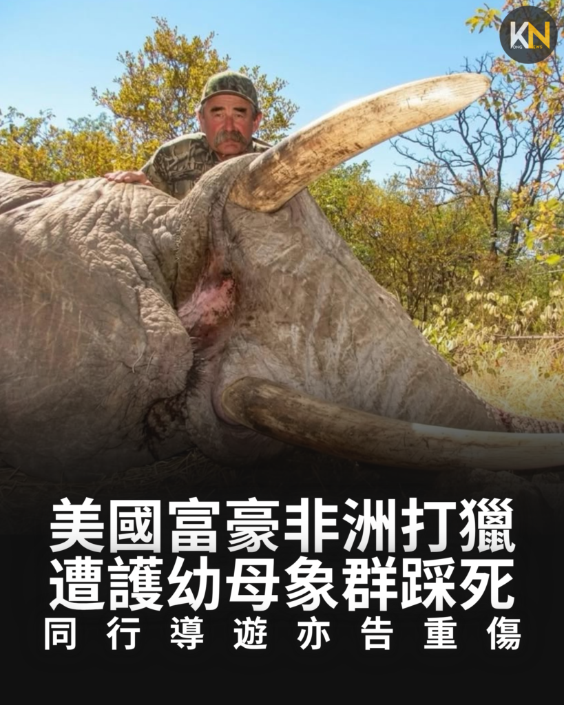 美國富豪非洲打獵 遭護幼母象群 亂腳踩死同行導遊亦告重傷