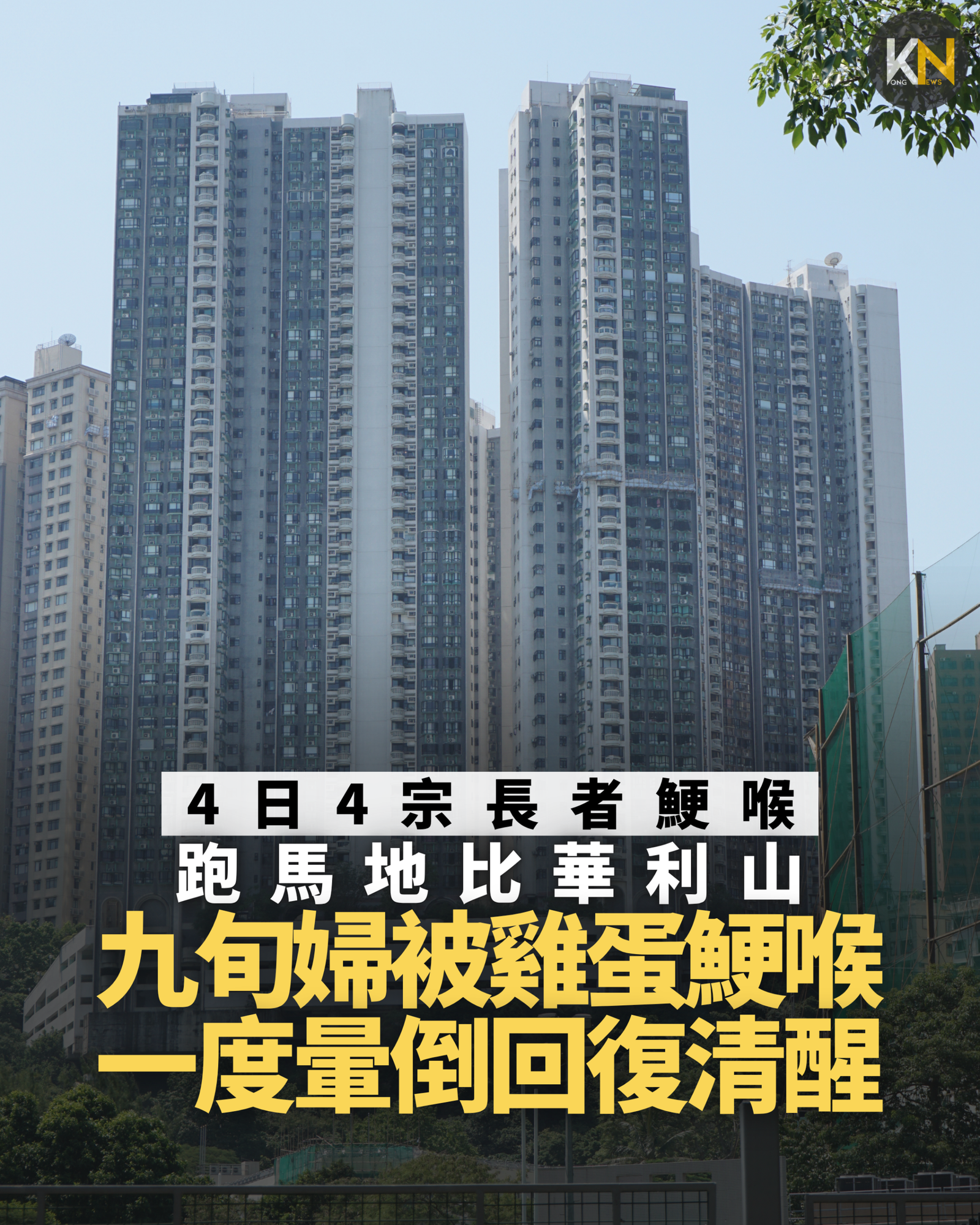 跑馬地比華利山 九旬婦被雞蛋鯁喉 一度暈倒回復清醒 4日4宗長者鯁喉