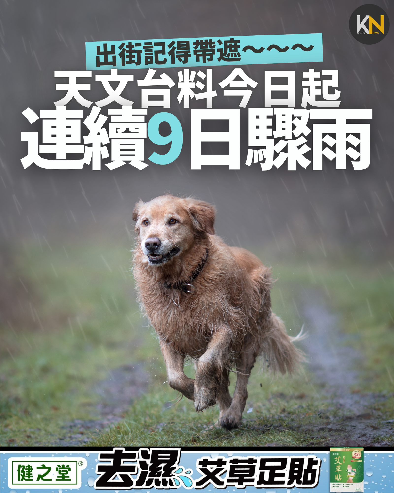 天文台料今日起 連續9日驟雨 出門口記得帶遮