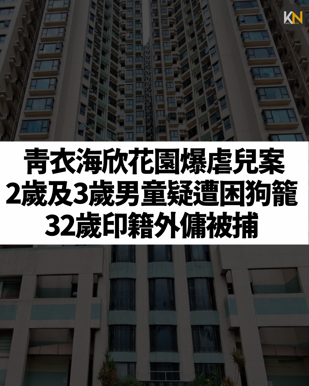 青衣海欣花園爆虐兒案 2歲及3歲男童疑遭困狗籠 32歲印籍外傭被捕