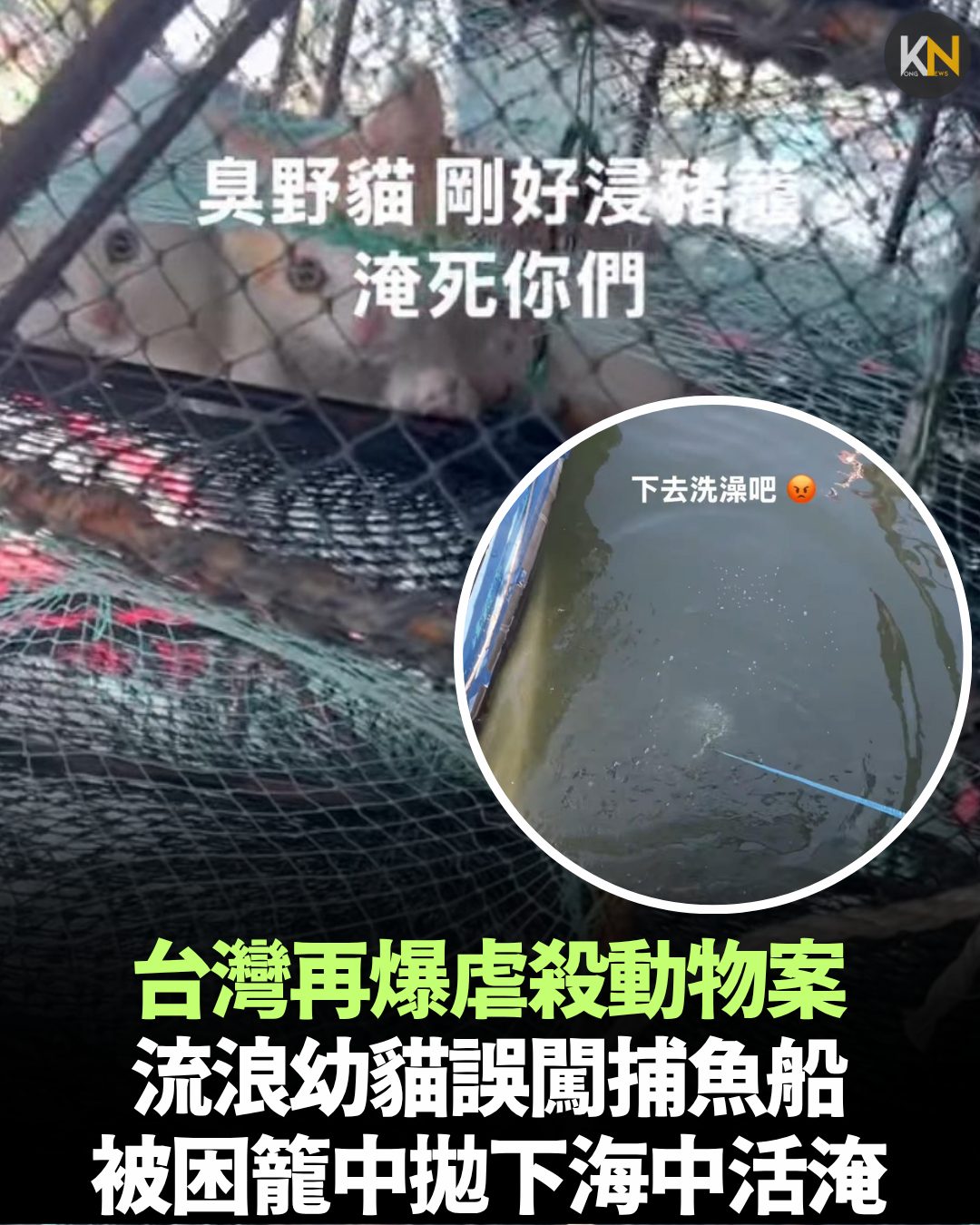 台灣再爆虐殺動物案 流浪幼貓誤闖捕魚船 被困籠中拋下海中活淹