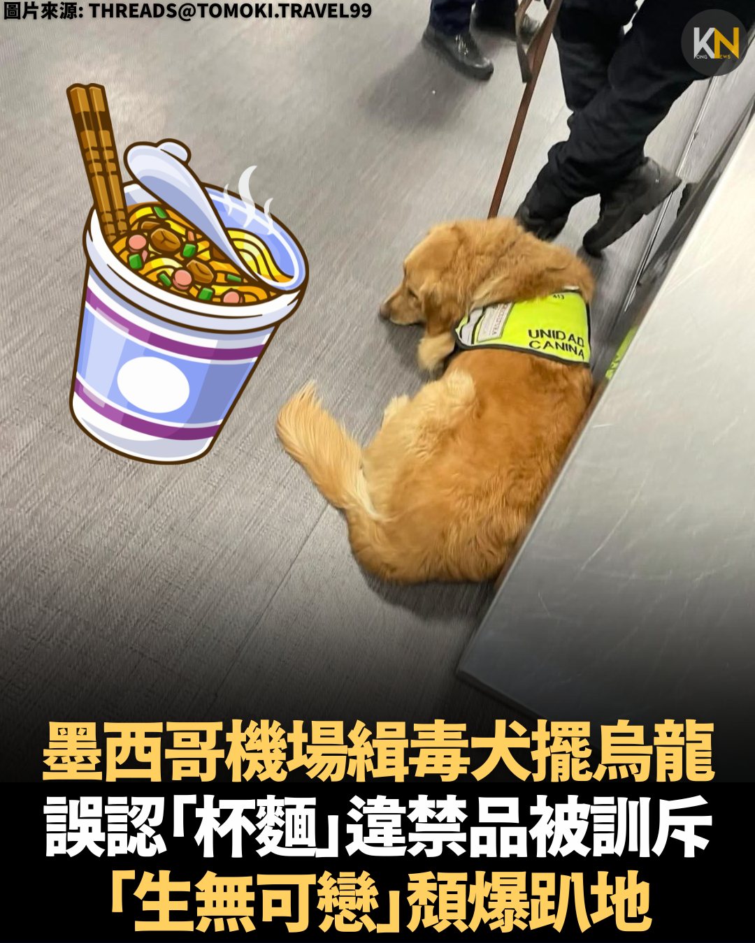 墨西哥機場緝毒犬擺烏龍 誤認「杯麵」違禁品被訓斥 「生無可戀」頹爆趴地