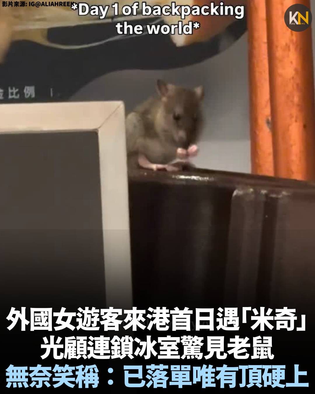 外國女遊客來港首日遇「米奇」 光顧連鎖冰室驚見老鼠 無奈笑稱：已落單唯有頂硬上