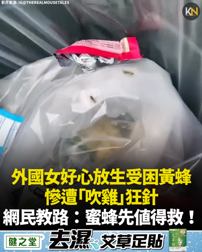 外國女好心放生受困黃蜂 慘遭「吹雞」狂針 網民教路：蜜蜂先值得救！