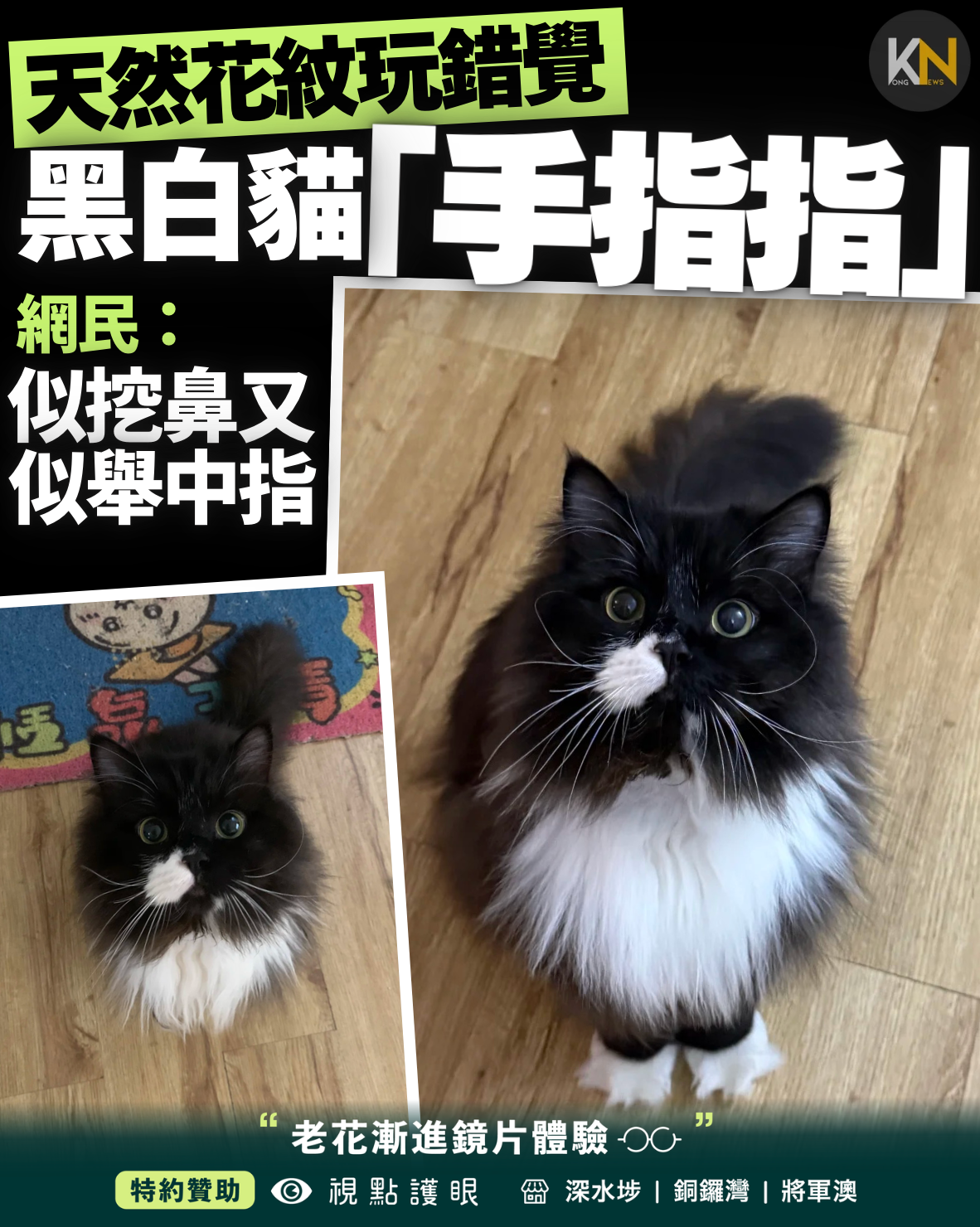 天然花紋玩錯覺 黑白貓「手指指」 網民：似挖鼻又似舉中指