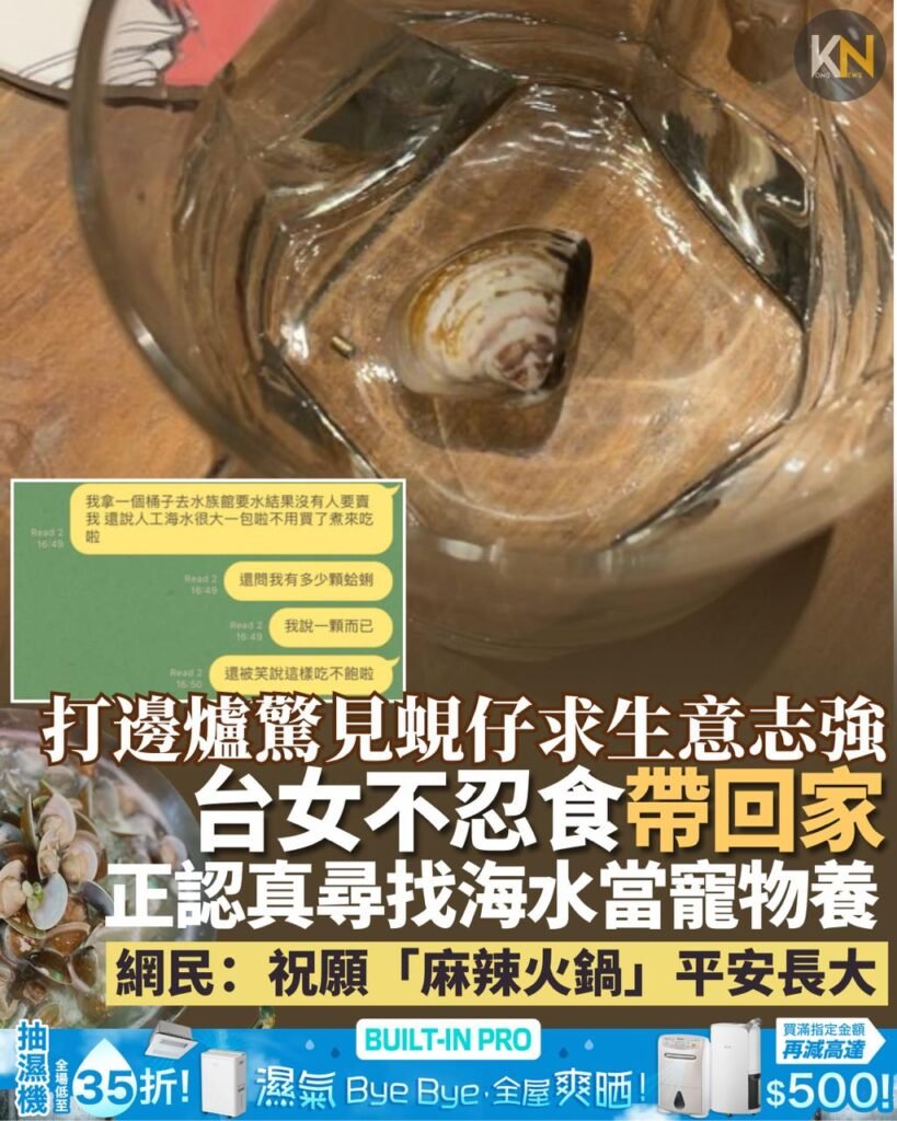 打邊爐驚見蜆仔求生意志強台女不忍食帶回家 正認真尋找海水當寵物養 網民：祝願「麻辣火鍋」平安長大