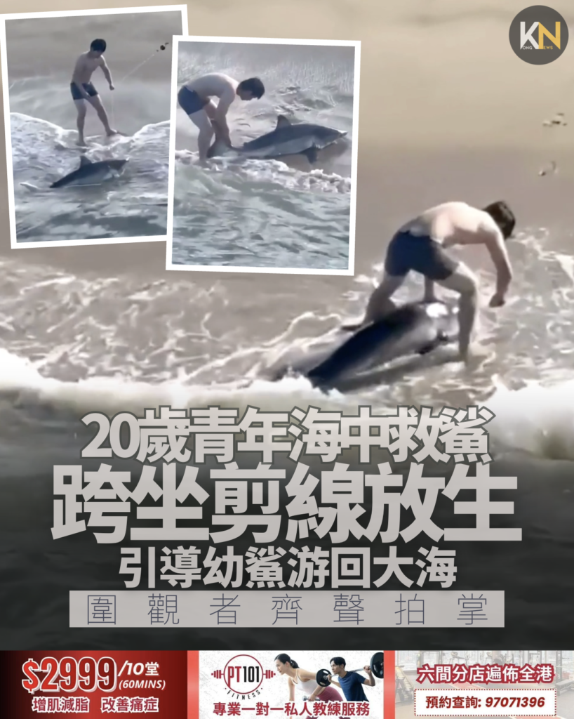 20歲青年海中救鯊 跨坐剪線放生 引導幼鯊游回大海 圍觀者齊聲拍掌