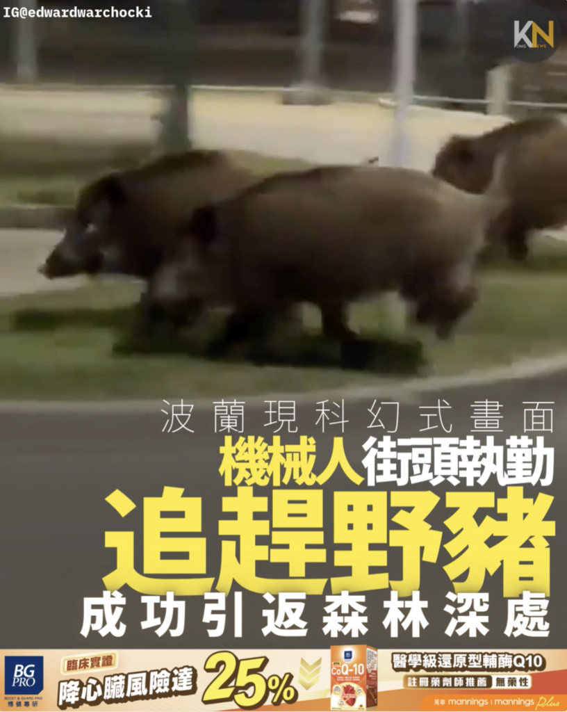 波蘭現科幻式畫面 機械人街頭執勤 追逐驅趕野豬 成功引返森林深處