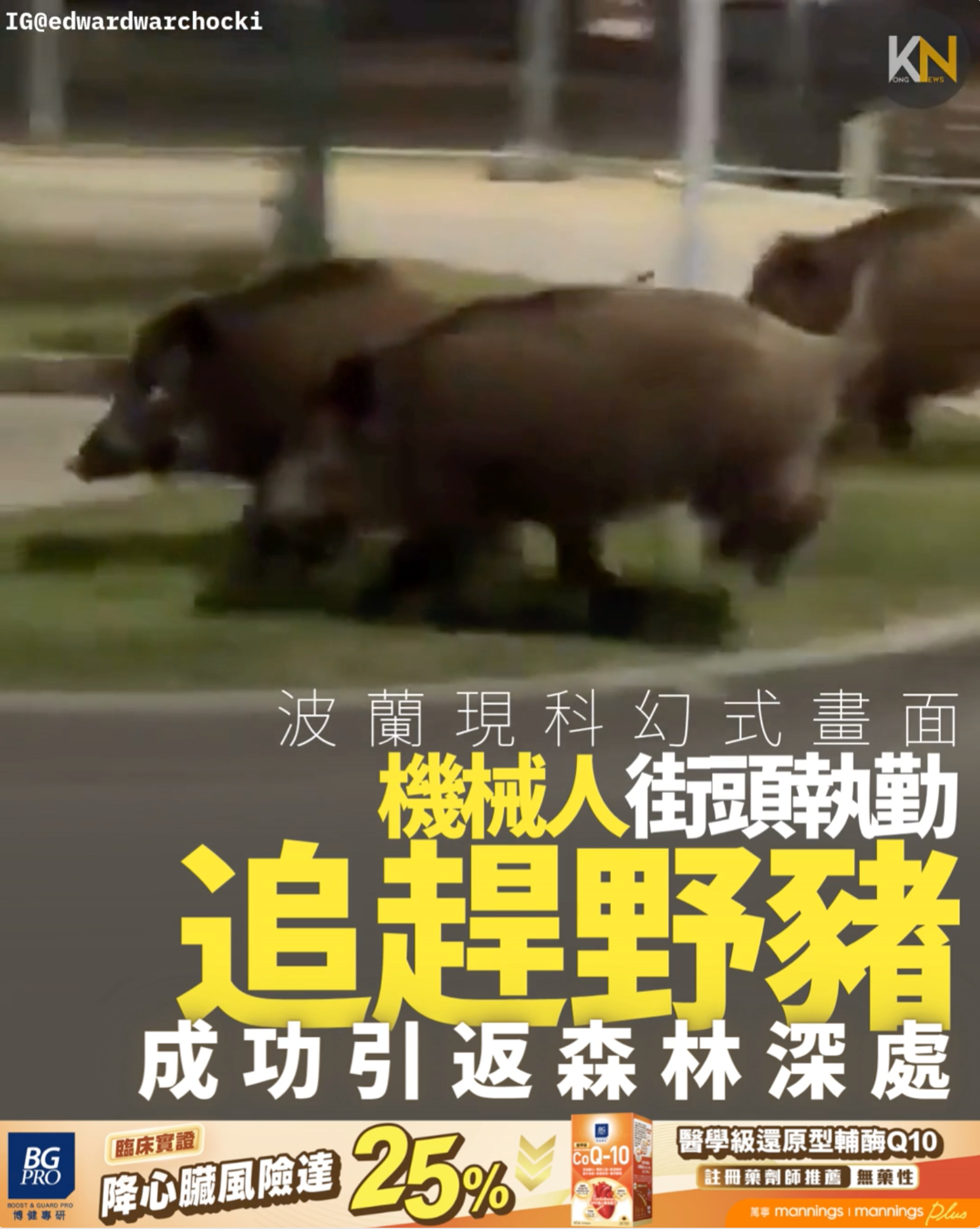 波蘭現科幻式畫面 機械人街頭執勤 追逐驅趕野豬 成功引返森林深處