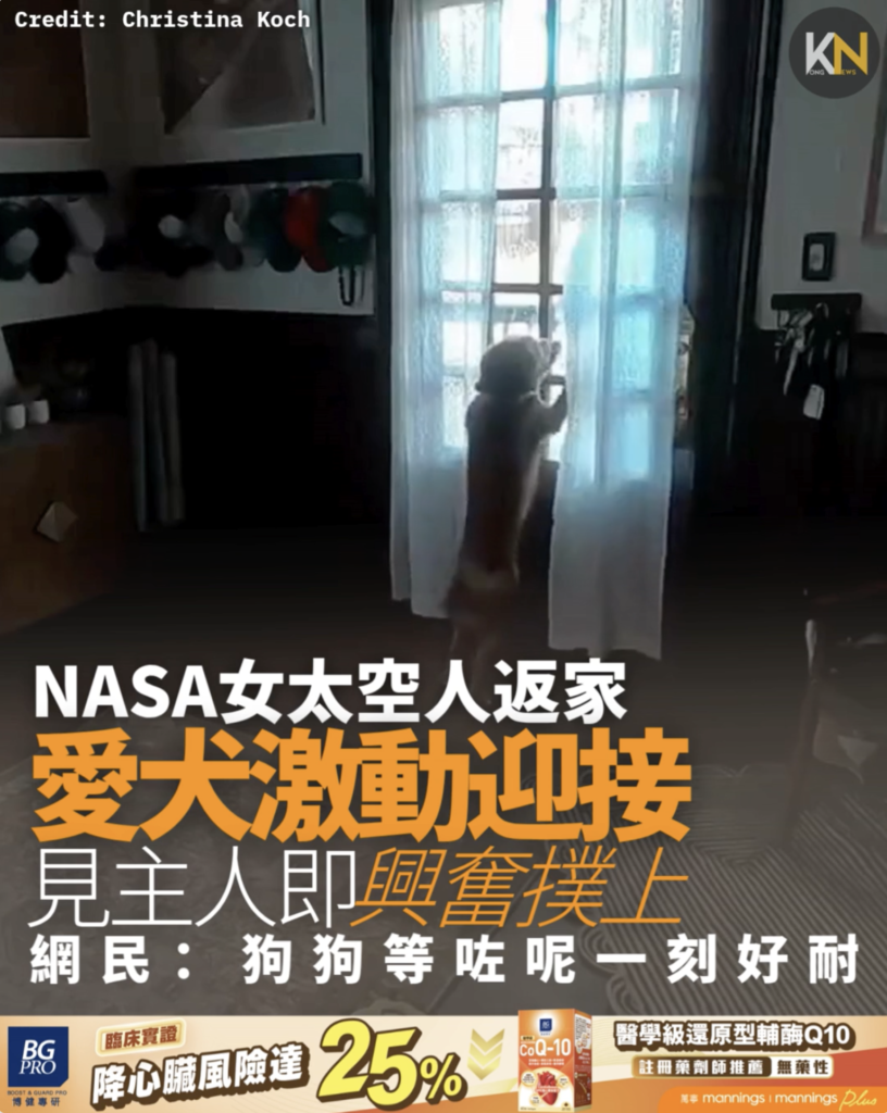 NASA女太空人返家 愛犬激動迎接 見主人即興奮撲上 網民：狗狗等咗呢一刻好耐