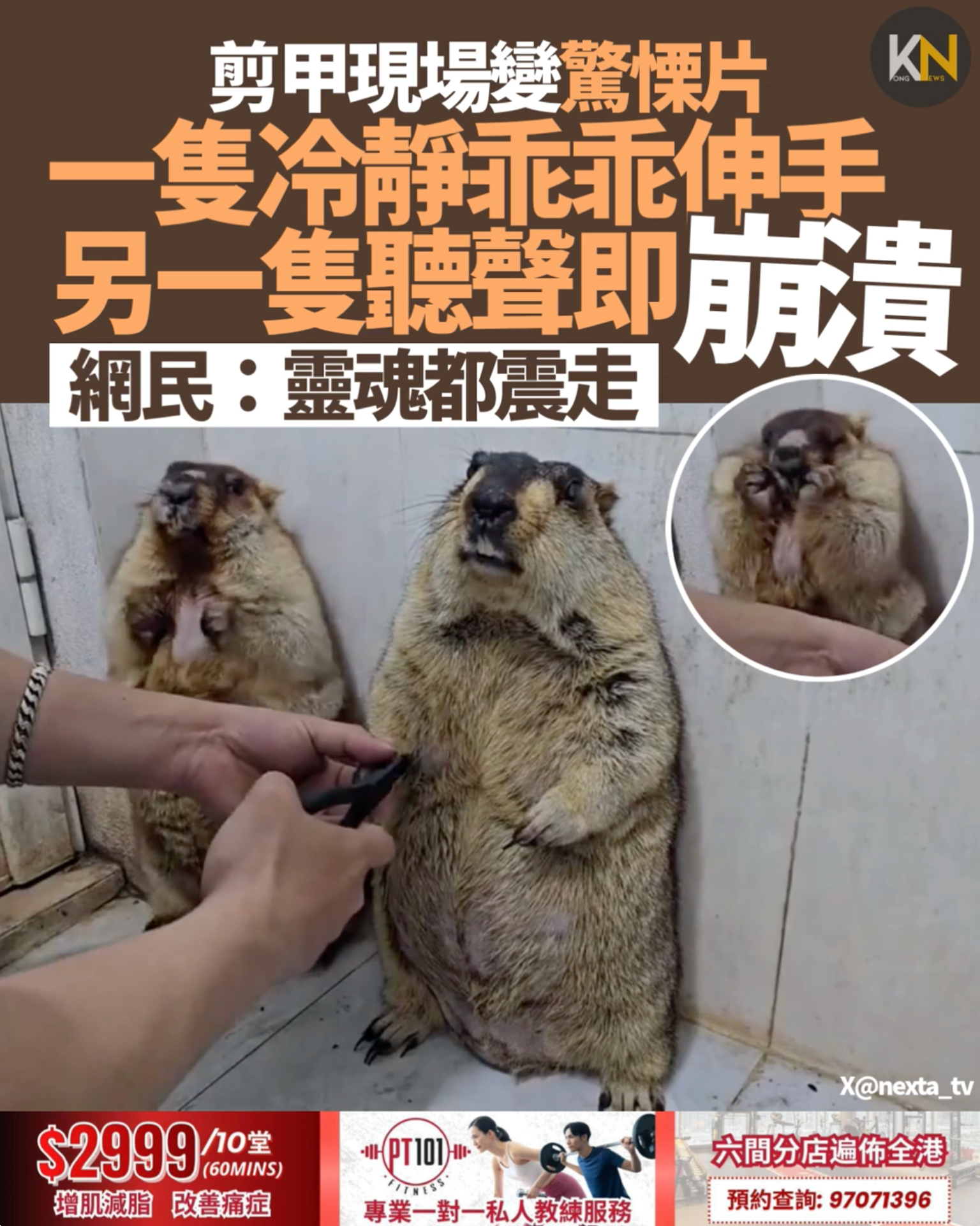 剪甲現場變驚慄片 一隻冷靜乖乖伸手 另一隻聽聲即崩潰 網民：靈魂都震走