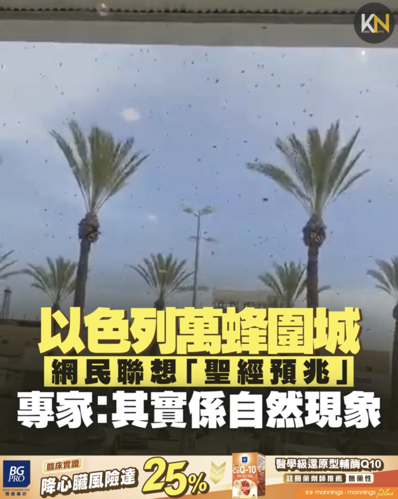 以色列萬蜂圍城 網民聯想「聖經預兆」 專家：其實係自然現象