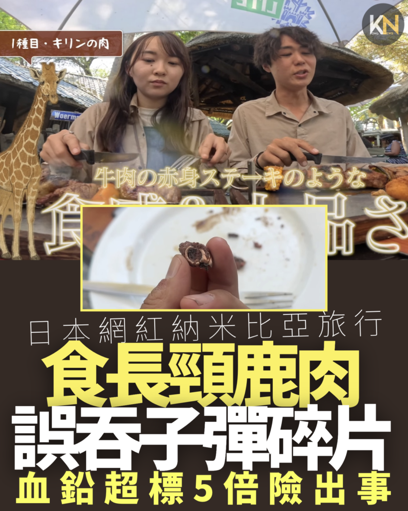 日本網紅食長頸鹿肉 誤吞子彈碎片 血鉛超標5倍險出事
