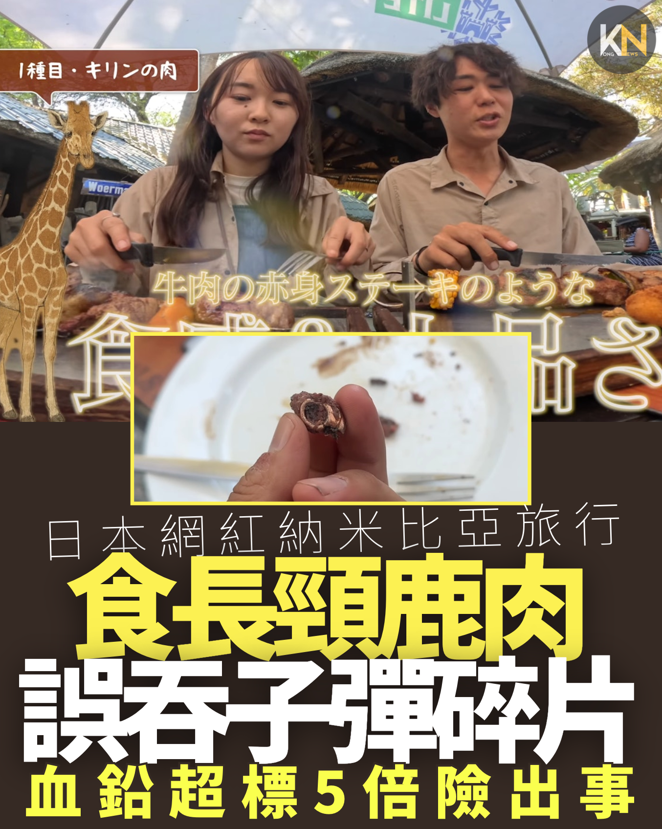 日本網紅食長頸鹿肉 誤吞子彈碎片 血鉛超標5倍險出事