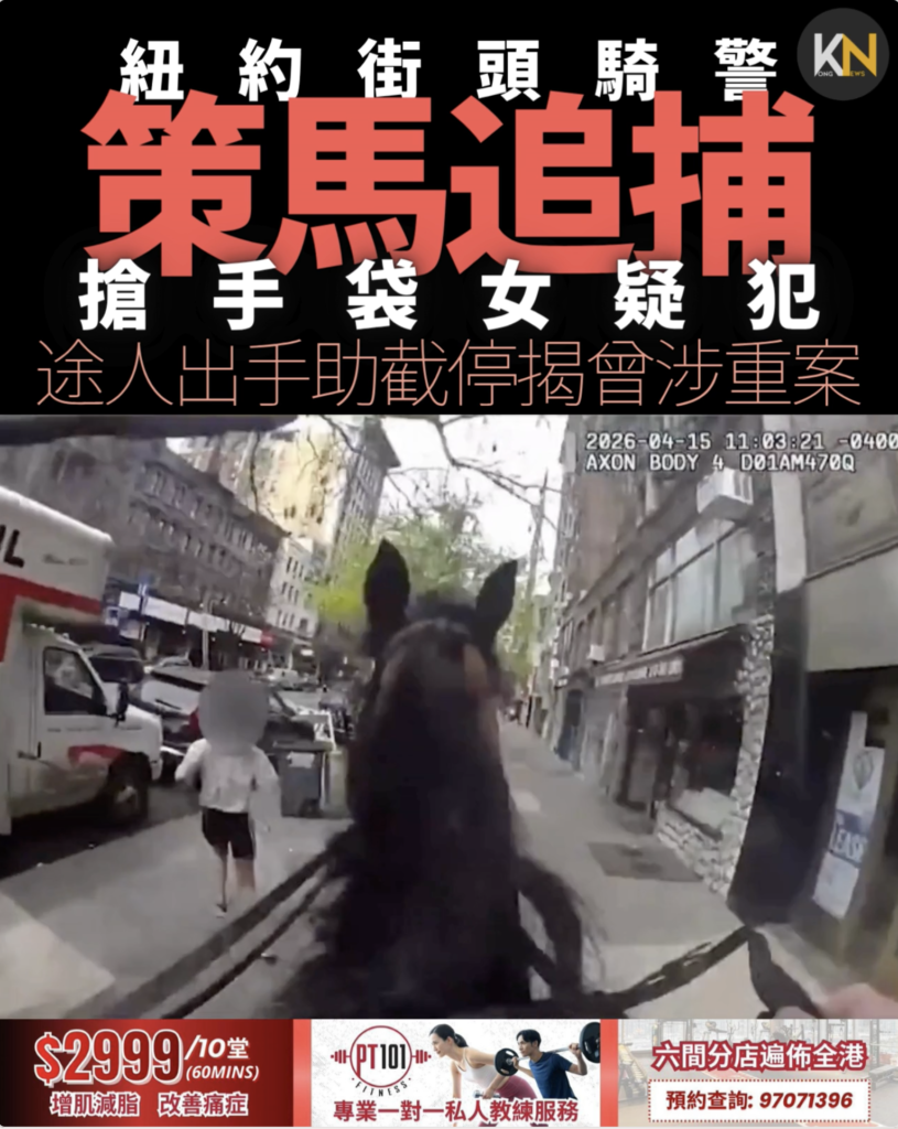 紐約街頭騎警策馬追捕搶手袋女疑犯 途人出手助截停揭曾涉重案