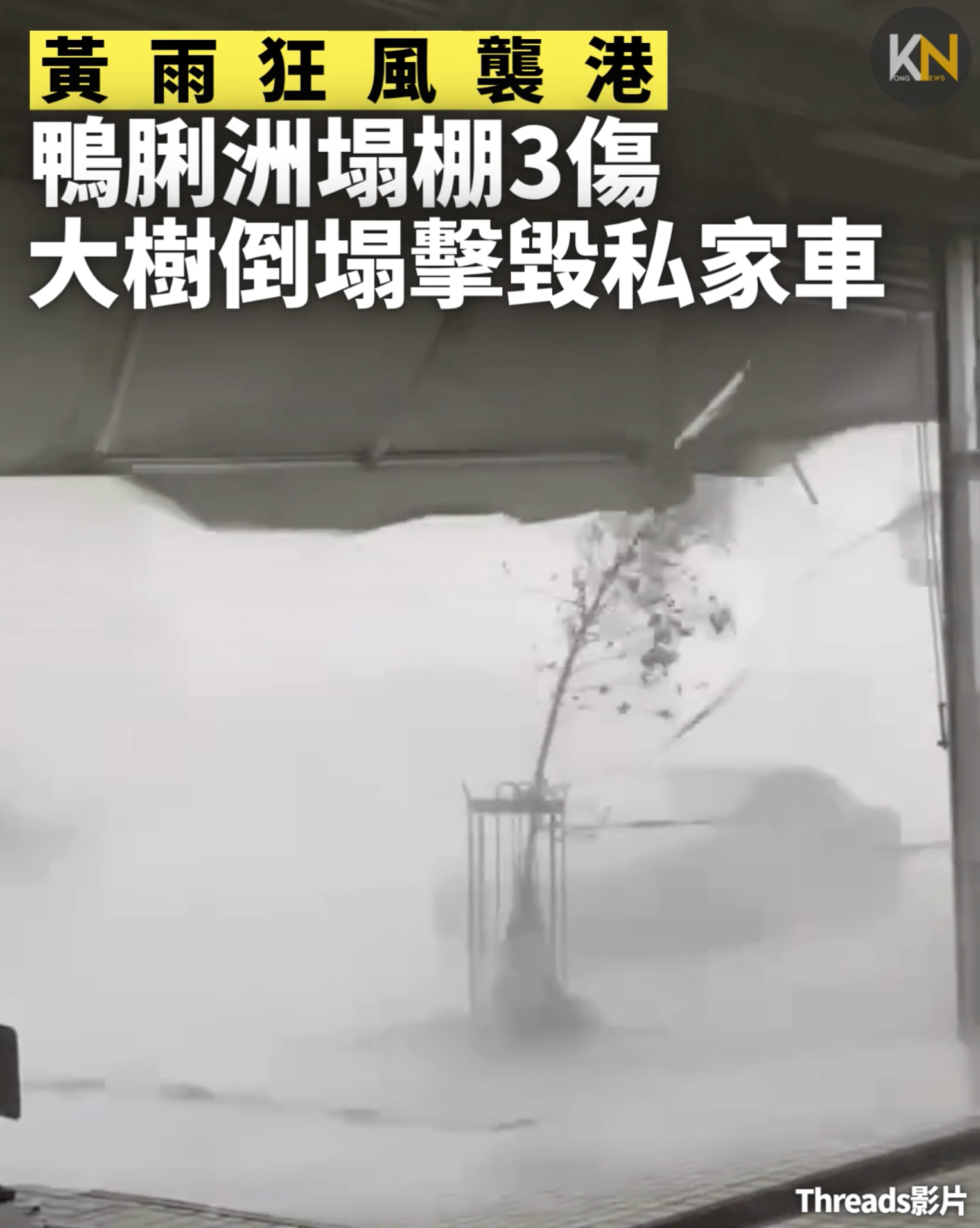 黃雨狂風襲港　鴨脷洲塌棚3傷　大樹倒塌擊毀私家車