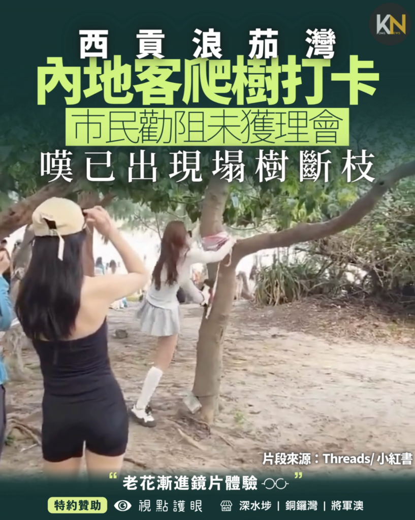 西貢浪茄灣遊客爬樹打卡市民勸阻未獲理會嘆已出現塌樹斷枝