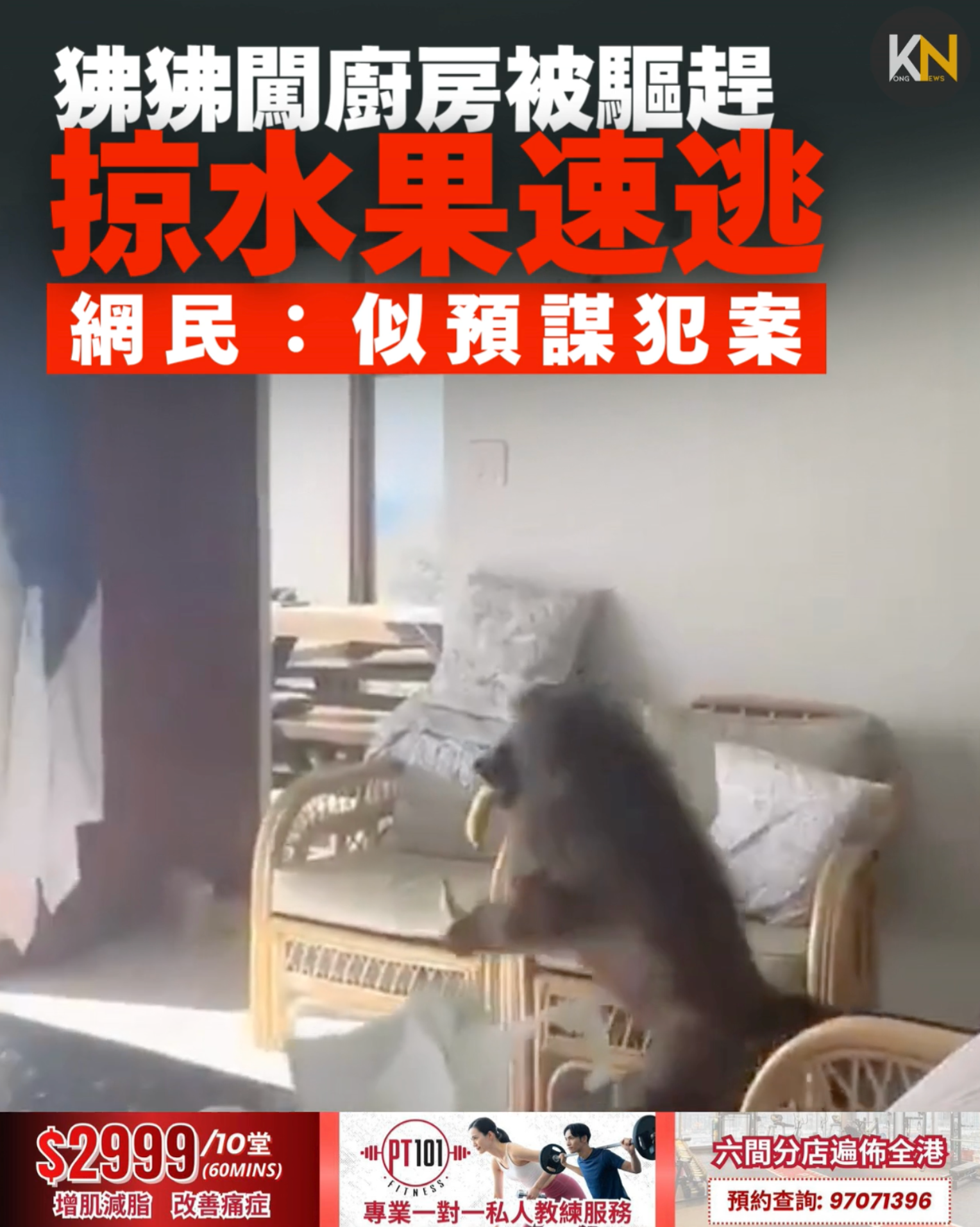 南非狒狒闖廚房 偷水果速逃 女子揮毛巾驅趕 網民：似預謀犯案