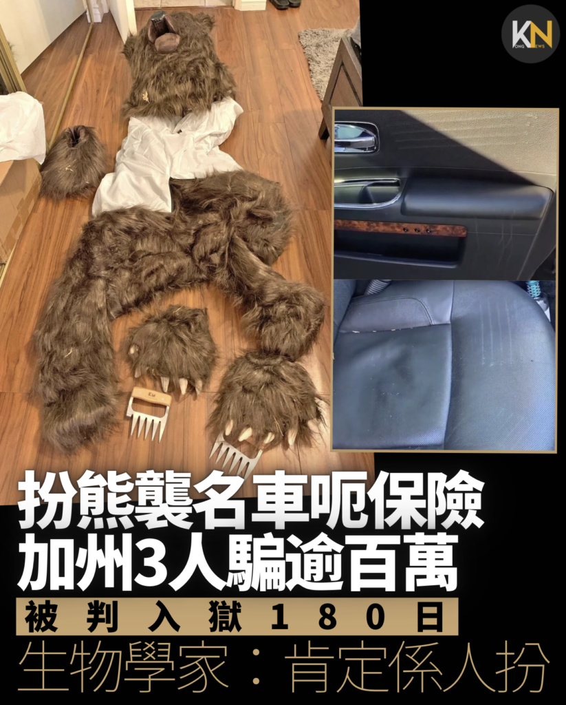 扮熊襲名車呃保險 加州3人呃逾百萬 被判入獄180日 生物學家：肯定係人扮