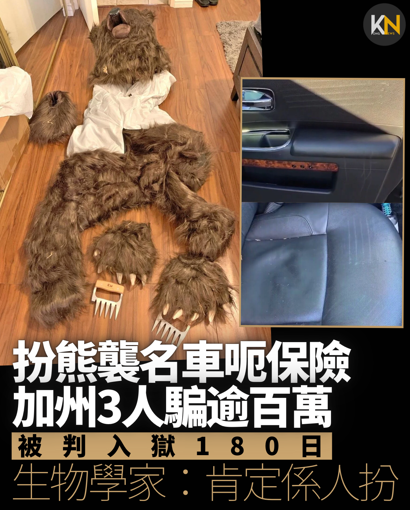 扮熊襲名車呃保險 加州3人呃逾百萬 被判入獄180日 生物學家：肯定係人扮