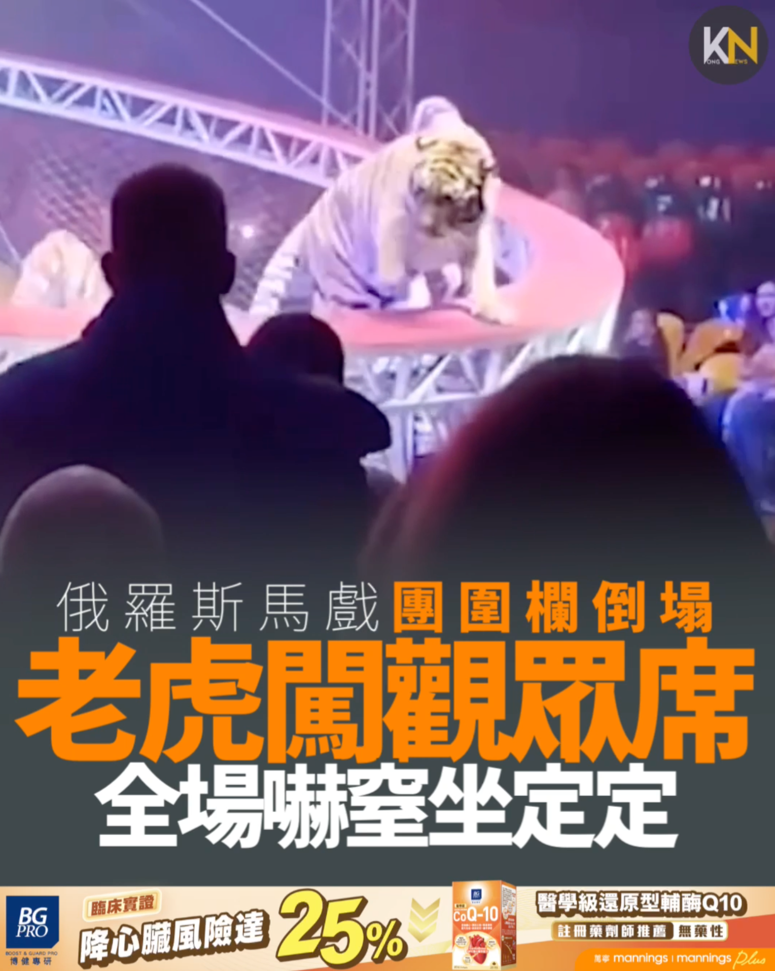 俄羅斯馬戲團圍欄倒塌 老虎闖觀眾席 全場嚇窒唔敢亂郁 無人受傷當局介入調查