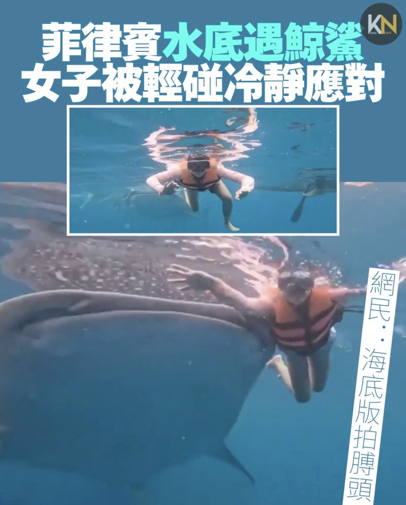 菲律賓水底拍攝 驚遇巨型鯨鯊 女子被輕碰仍冷靜應對 網民：海底版拍膊頭