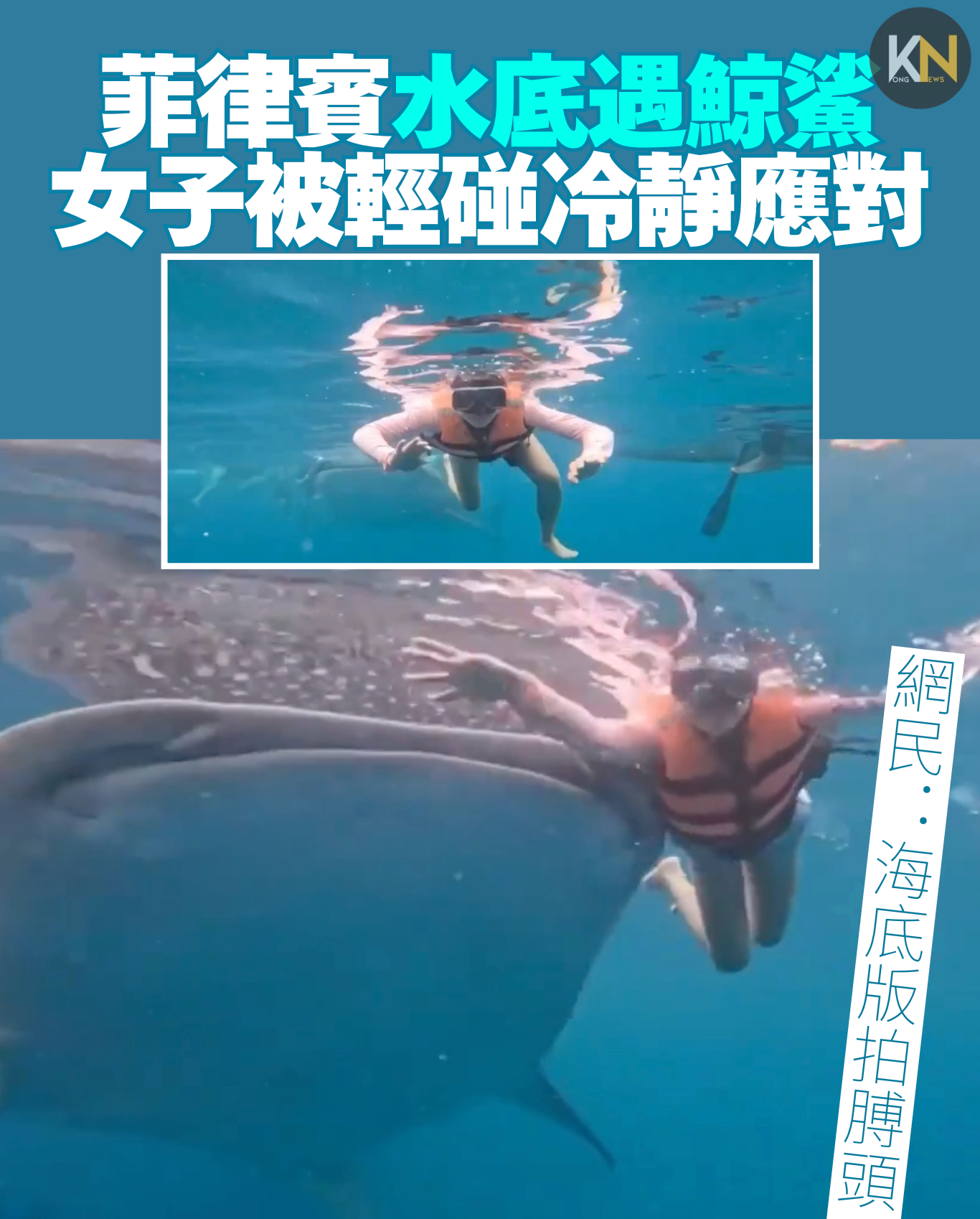 菲律賓水底拍攝 驚遇巨型鯨鯊 女子被輕碰仍冷靜應對 網民：海底版拍膊頭