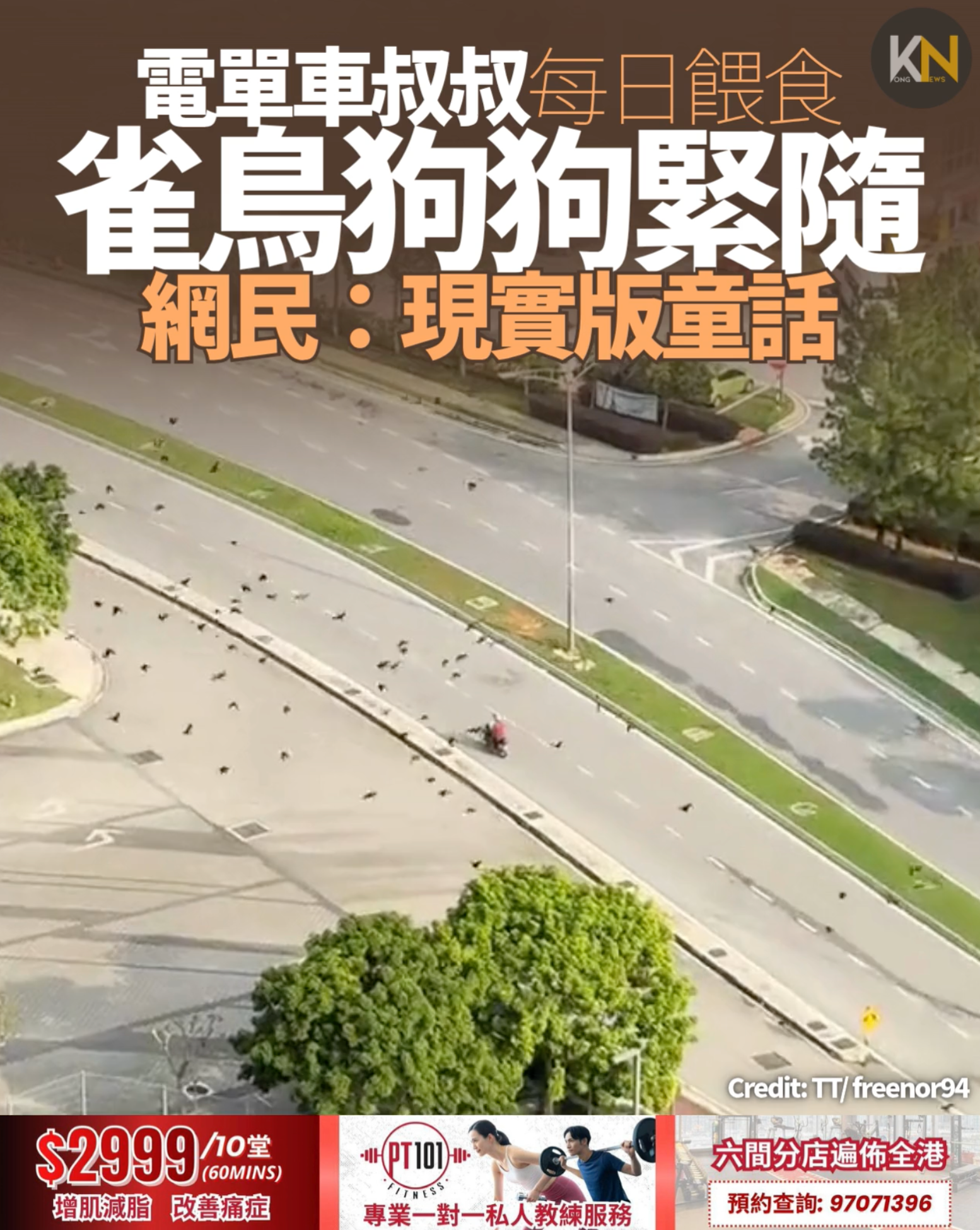電單車叔叔每日餵食 雀鳥狗狗緊隨 網民：現實版童話