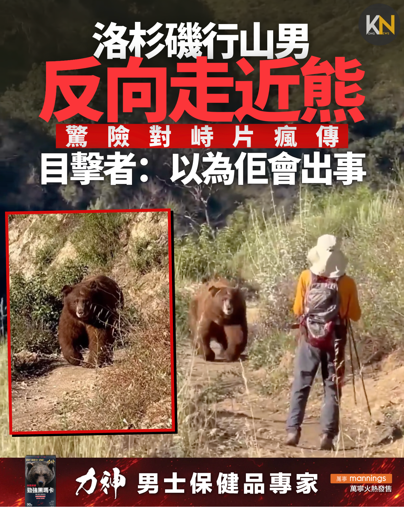 洛杉磯行山男反向走近巨熊 驚險對峙片瘋傳 目擊者：以為佢會出事