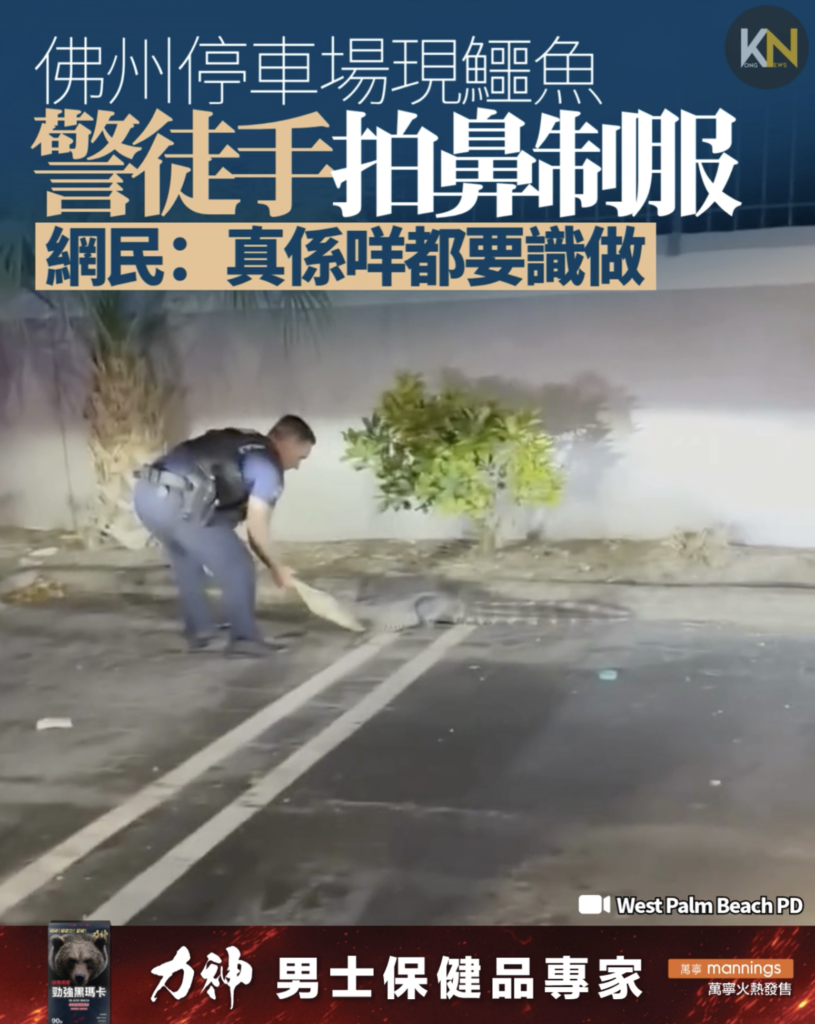 佛州停車場驚現鱷魚　警徒手拍鼻制服　網民：真係咩都要識做