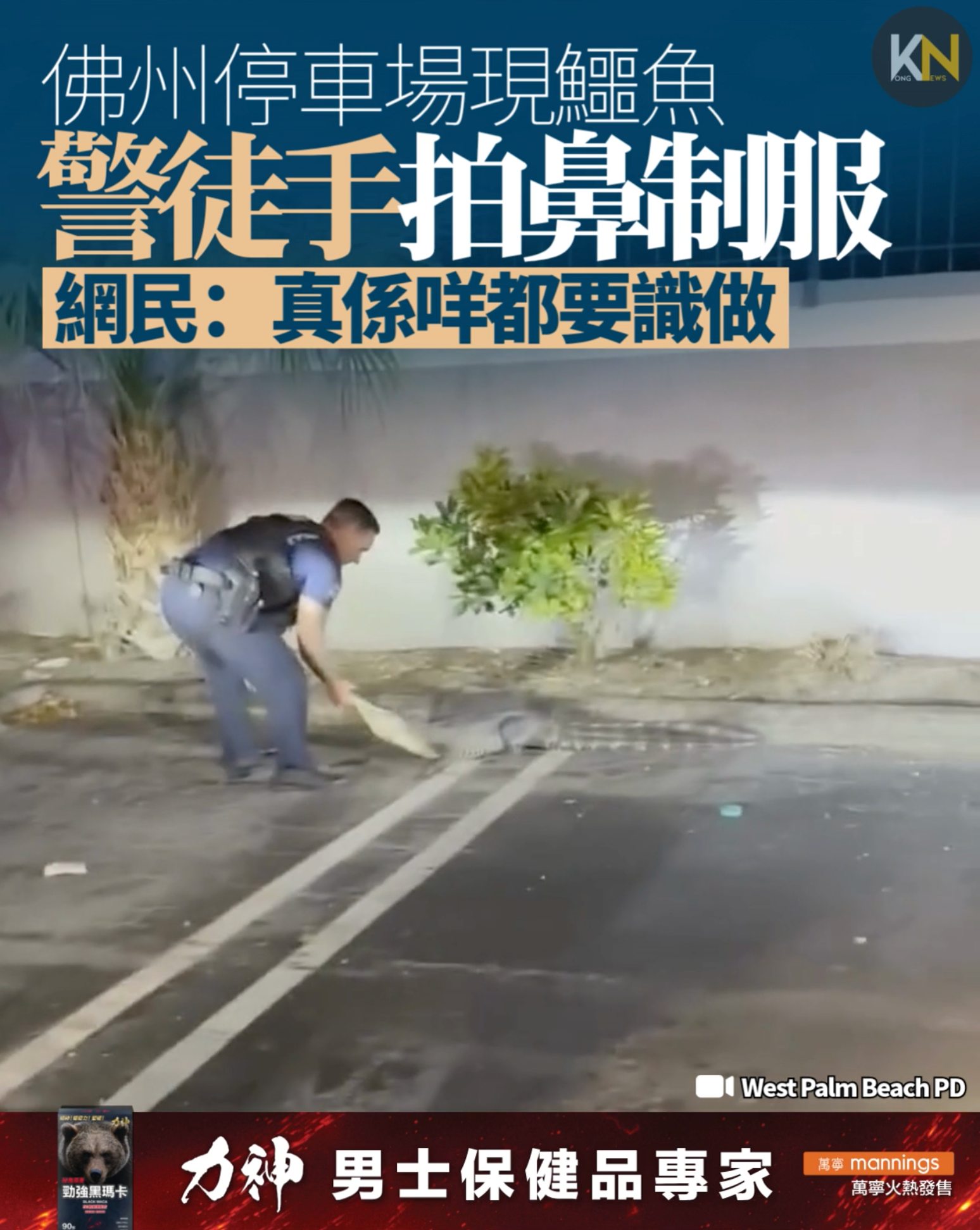 佛州停車場驚現鱷魚　警徒手拍鼻制服　網民：真係咩都要識做