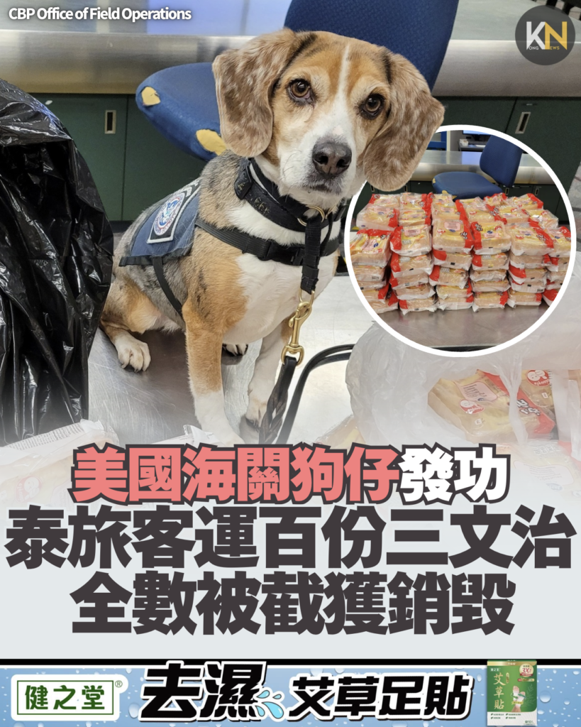 美國海關狗仔發功 泰旅客運百份三文治 全數被截獲銷毀