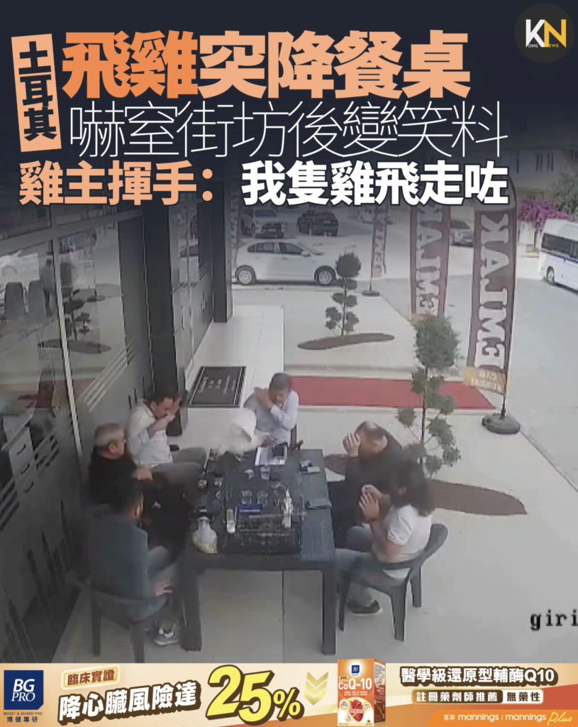 土耳其飛雞突降餐桌 嚇窒街坊後變笑料 雞主揮手：我隻雞飛走咗