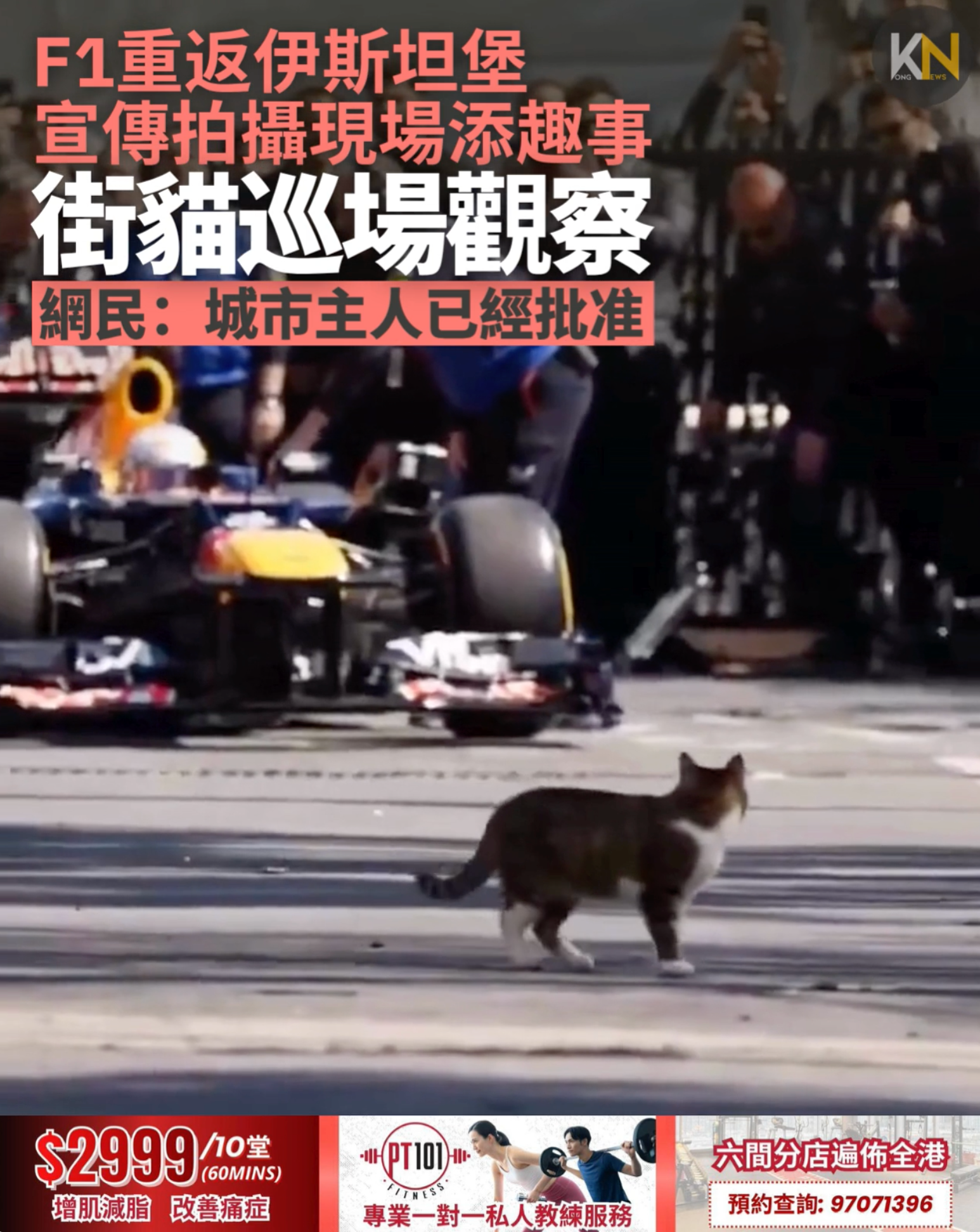 F1重返伊斯坦堡宣傳拍攝現場添趣事　街貓巡場觀察 網民：城市主人已經批准