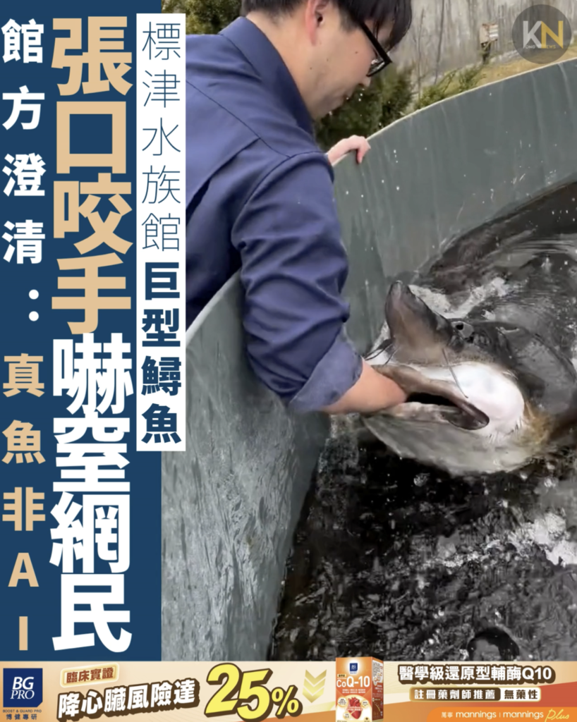 標津水族館巨型鱘魚 張口咬手嚇窒網民 館方澄清：真魚非AI