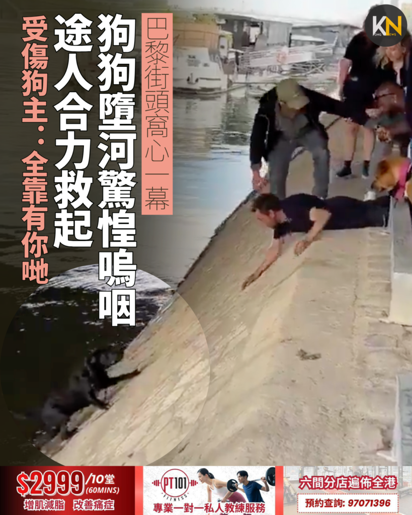 巴黎街頭窩心一幕 狗狗墮河驚惶嗚咽 途人合力救起 受傷狗主：全靠有你哋