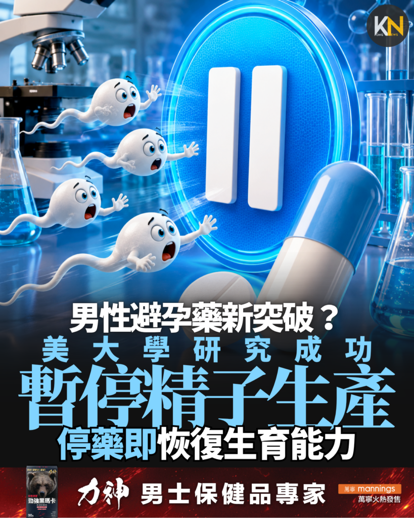 男性避孕藥新突破 美大學研究成功 暫停精子生產 停藥即恢復生育能力