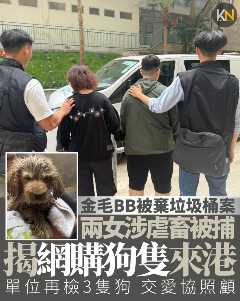 旺角金毛BB被棄垃圾桶 兩女涉虐畜被捕 揭網購狗隻來港 單位再檢3隻狗交愛協照顧