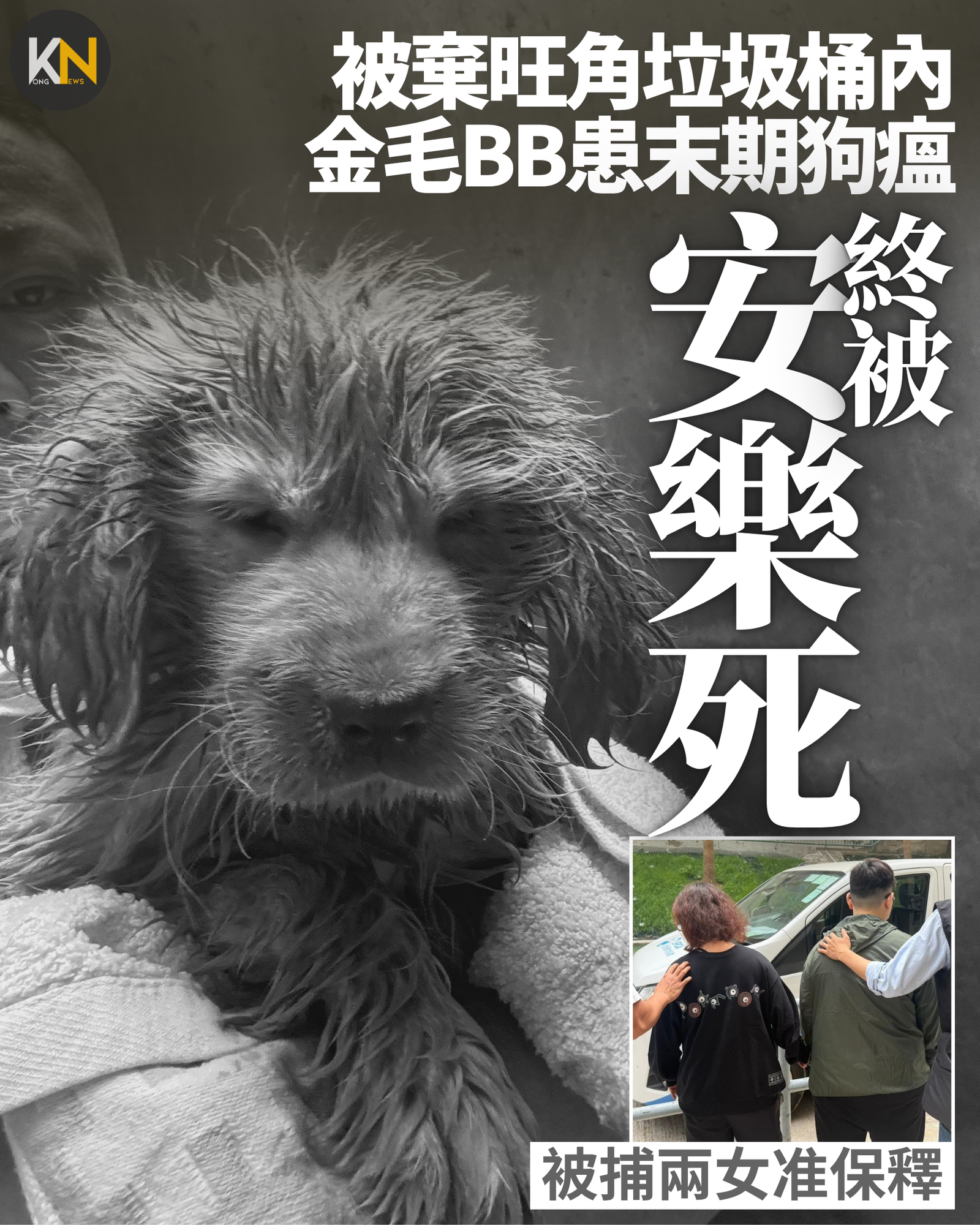 被棄旺角垃圾桶內 金毛BB患末期狗瘟 終被安樂死 被捕兩女准保釋