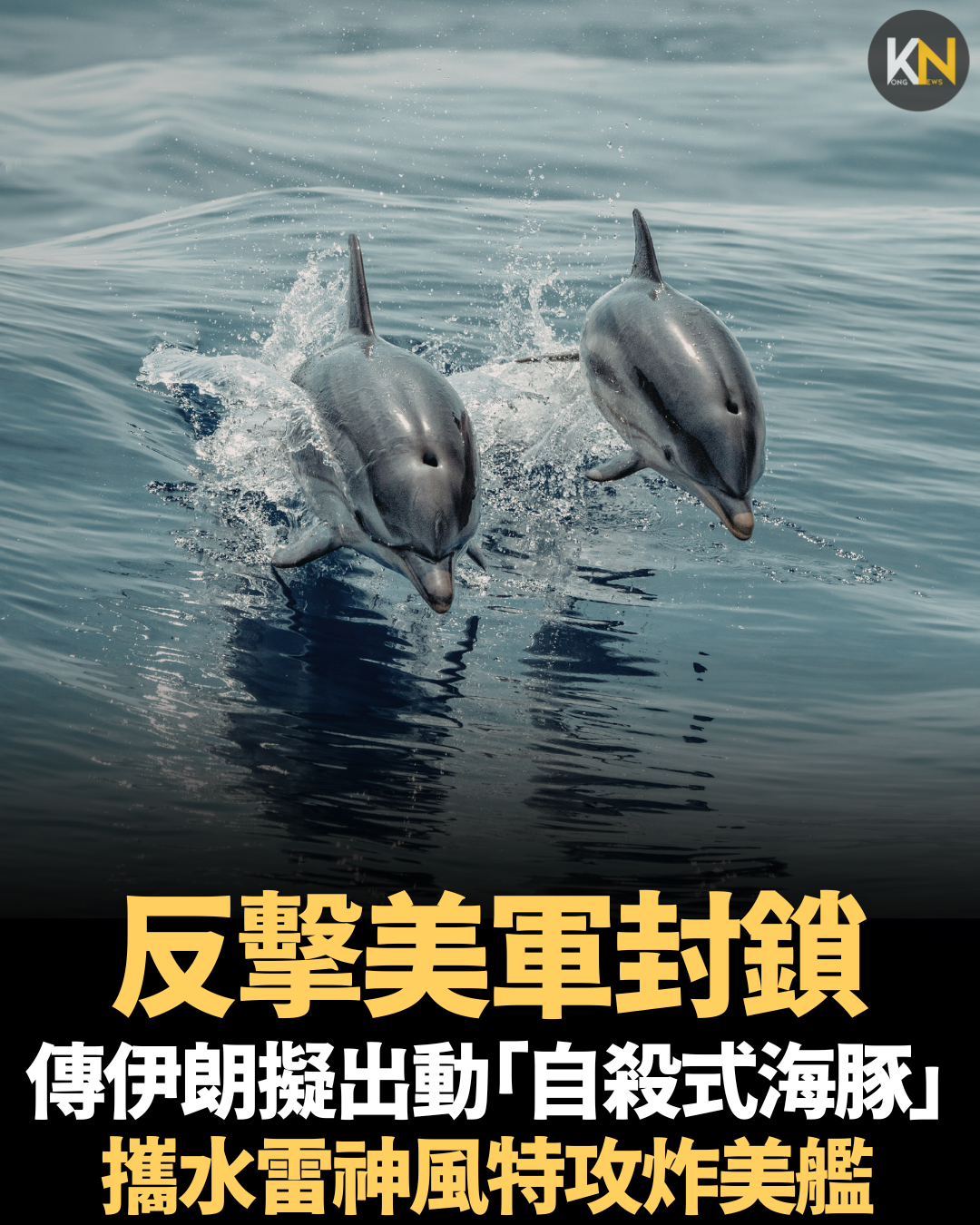 反擊美軍封鎖！傳伊朗擬出動「自殺式海豚」 攜水雷神風特攻炸美艦