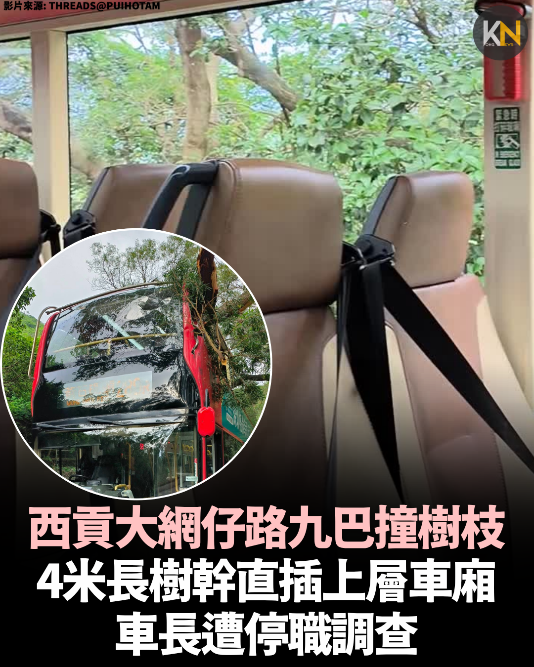 西貢大網仔路九巴撞樹枝 車廂直插4米長樹幹 車長遭停職調查