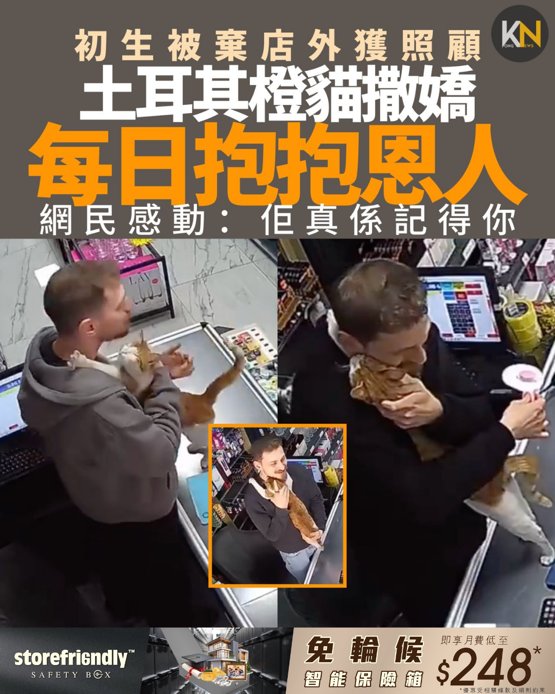初生被棄店外獲照顧 土耳其橙貓撒嬌 每日抱抱恩人 網民感動：佢真係記得你