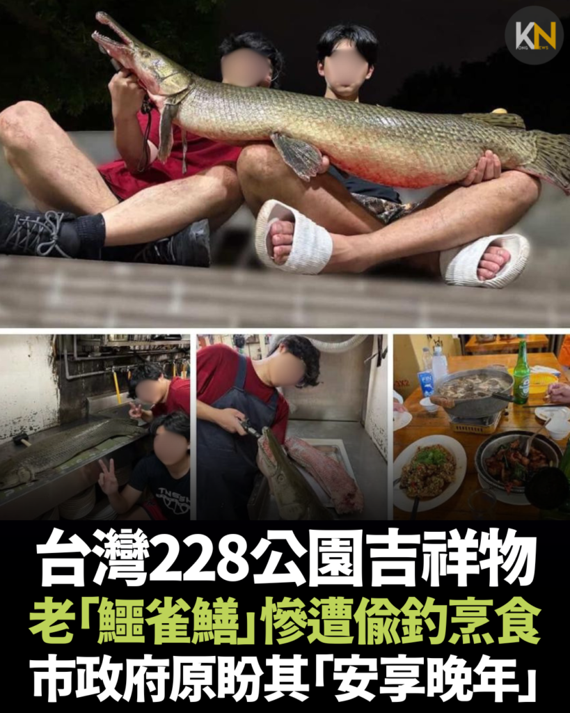 台灣228公園吉祥物老「鱷雀鱔」 慘遭偷釣烹食 市政府原盼其「安享晚年」