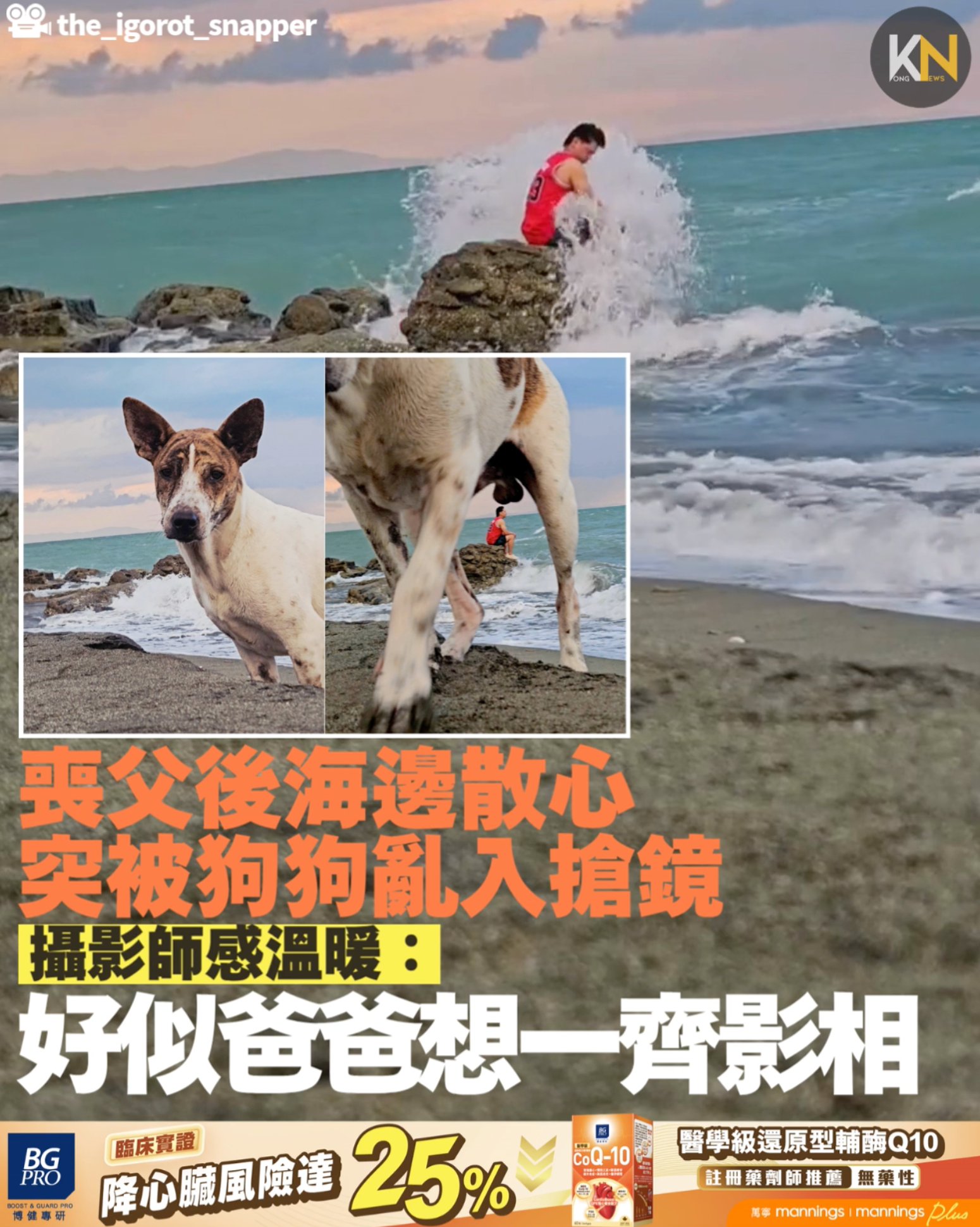 喪父後海邊散心 突被狗狗亂入搶鏡 攝影師感溫暖：好似爸爸想一齊影相