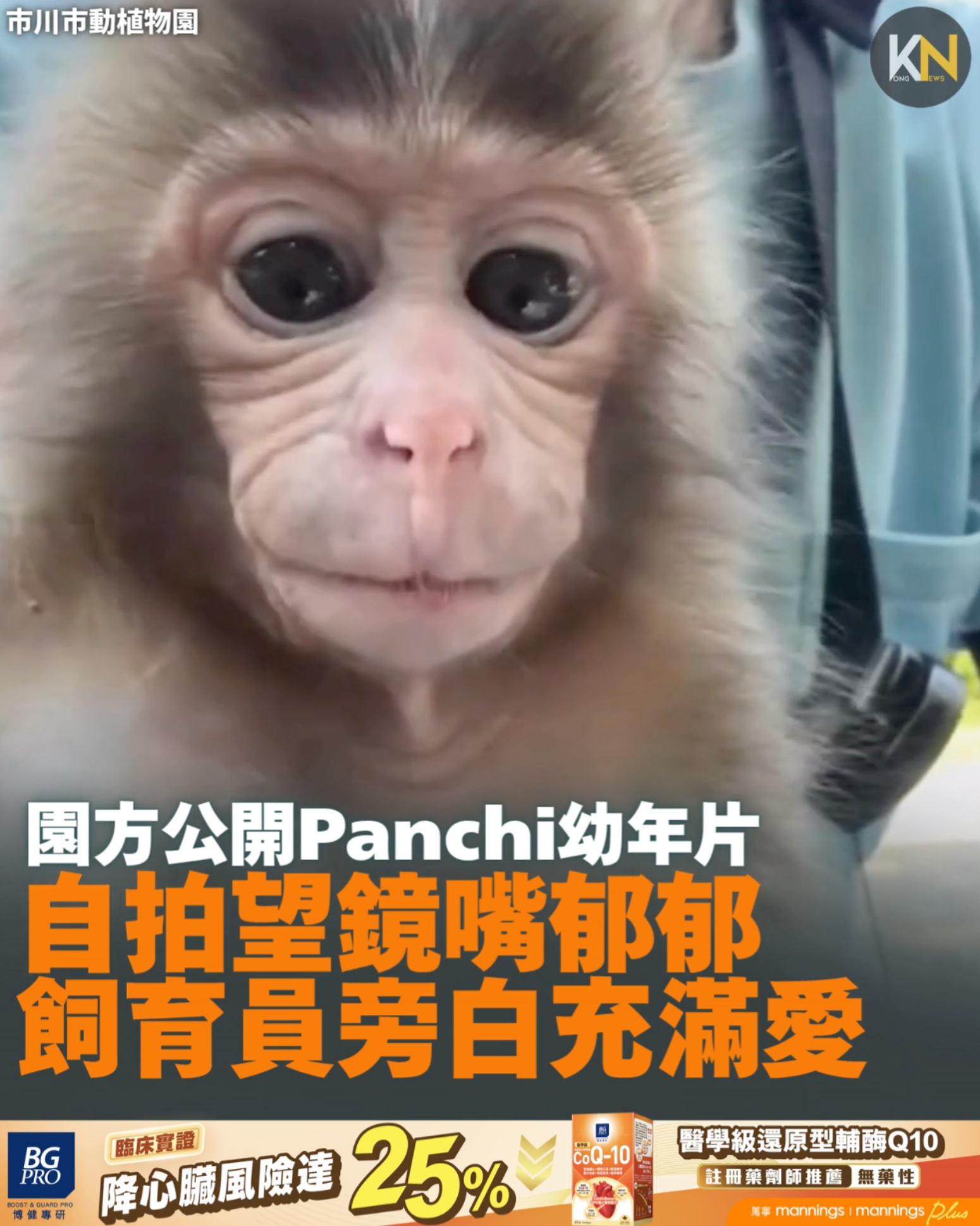 園方公開Panchi幼年片段 自拍望鏡嘴郁郁 飼育員旁白充滿愛