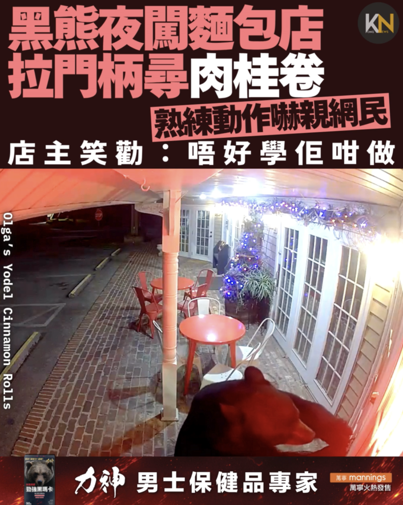 黑熊夜闖麵包店 拉門柄尋肉桂卷 熟練動作嚇親網民 店主笑勸：唔好學佢咁做