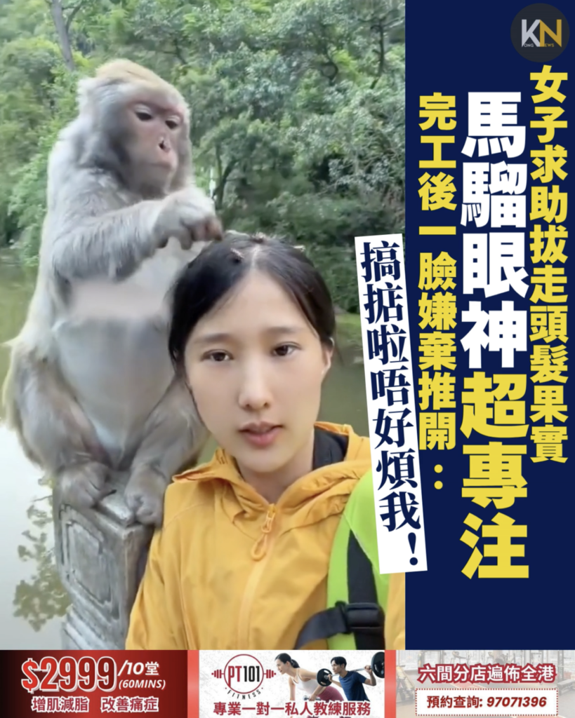 女子求助拔走頭髮蒼耳 馬騮眼神超專注 完工後一臉嫌棄推開：搞掂啦唔好煩我！