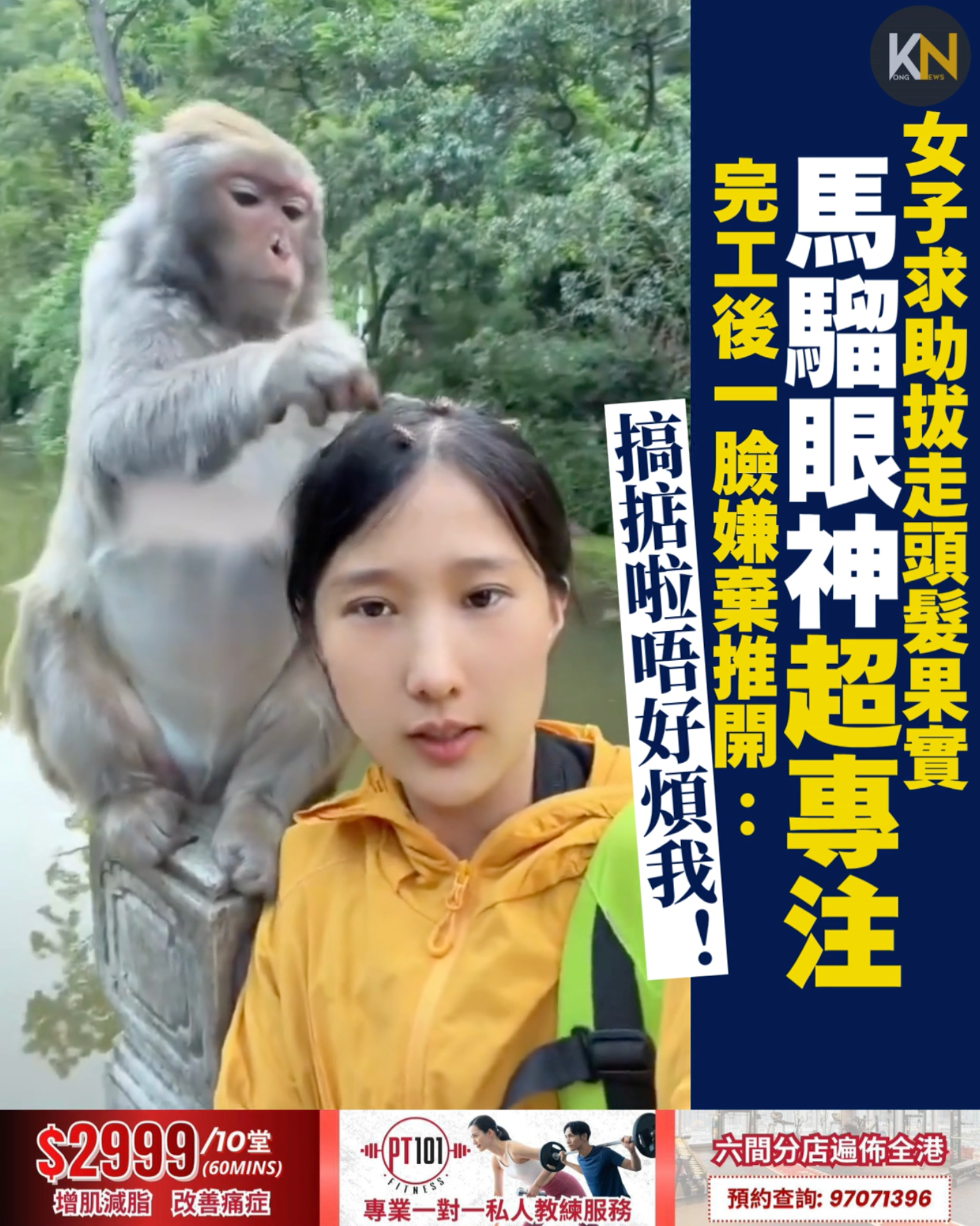女子求助拔走頭髮蒼耳 馬騮眼神超專注 完工後一臉嫌棄推開：搞掂啦唔好煩我！