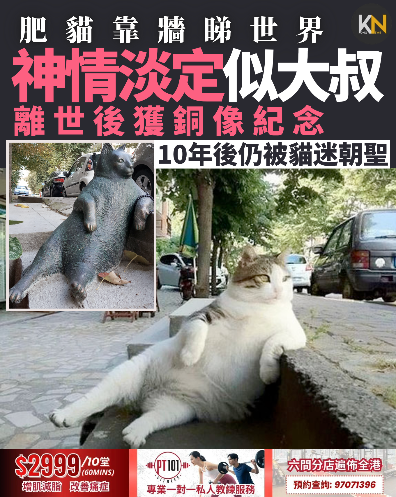 肥貓靠牆睇世界 神情淡定似老街坊 離世後獲銅像紀念 10年後仍被貓迷朝聖