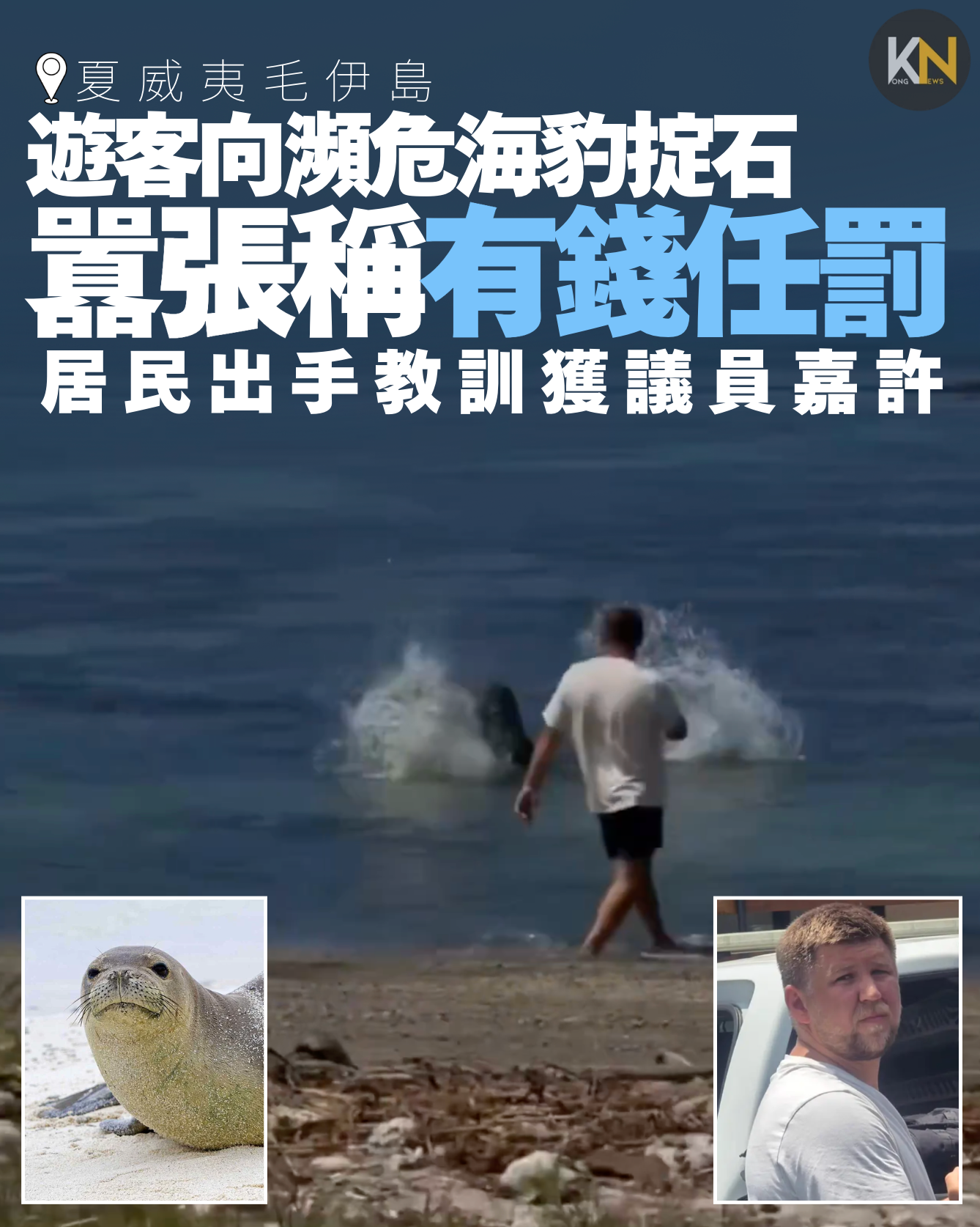 夏威夷毛伊島 遊客向瀕危僧海豹掟石  囂張稱有錢任罰 居民出手教訓獲議員嘉許